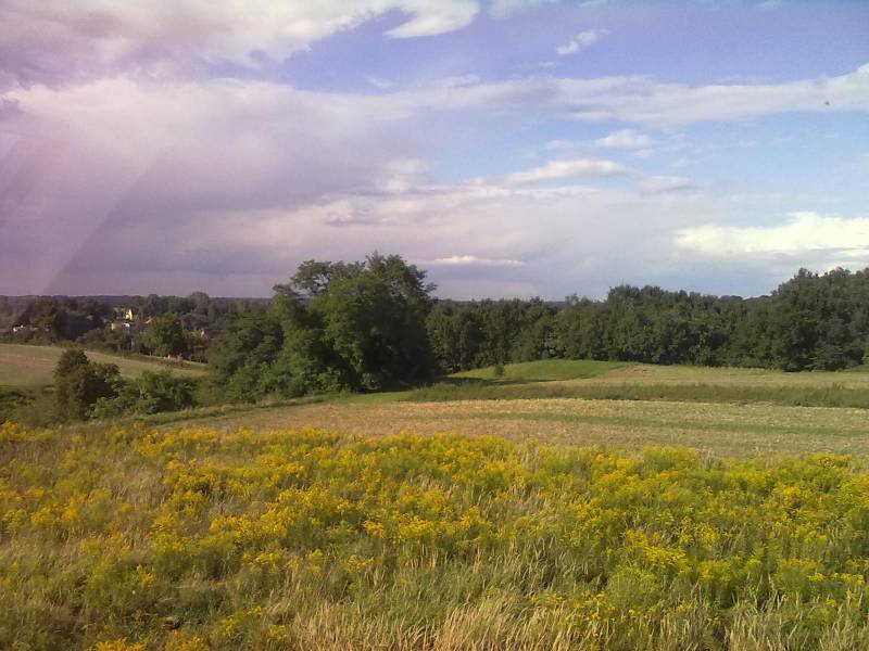 mojabudowa.pl - blog budowlany