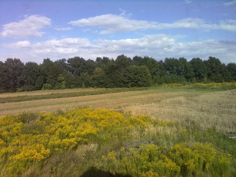 mojabudowa.pl - blog budowlany