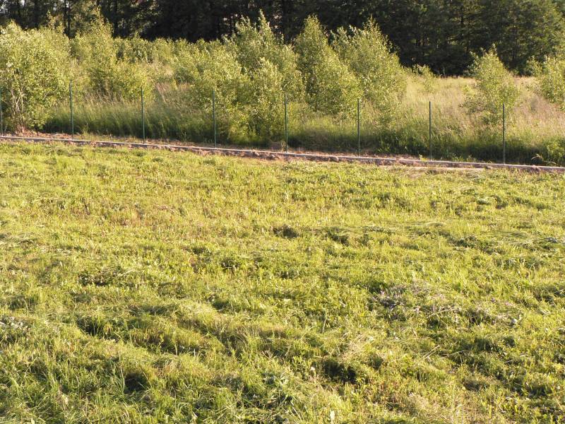 mojabudowa.pl - blog budowlany